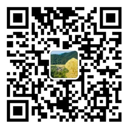 网信彩票登录官方
